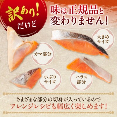 銀鮭骨取切身(不揃い)_hs027-015