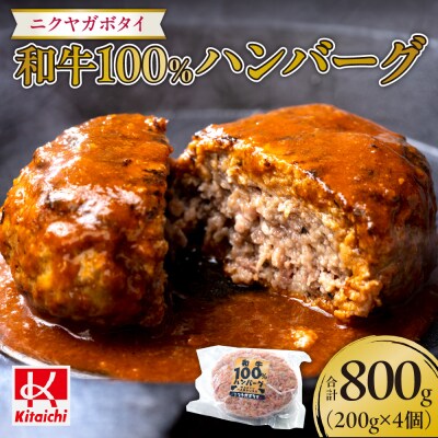 ニクヤガボタイ和牛100%ハンバーグ 200g×4個(800g)_hs064-038