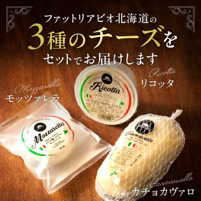 ファットリアビオ北海道 イタリア職人が作る金賞受賞チーズセット_hs029-013