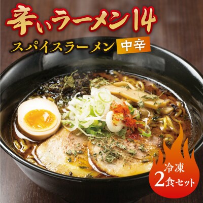 辛いラーメン14　《冷凍》 スパイスラーメン【中辛】　2食セット_hs145-018