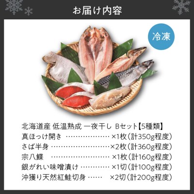 北海道産 低温熟成一夜干しセットB　★5種類_hs145-064