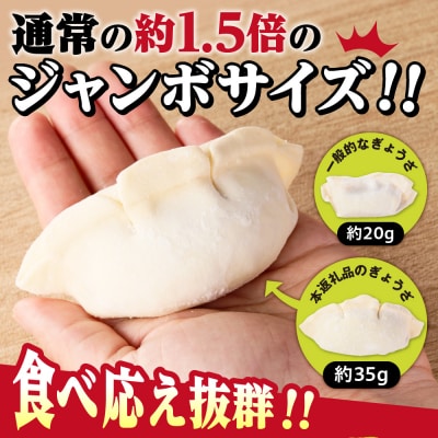 北海道物産展で大人気の佃善!札幌ジャンボ肉ぎょうざ16個入り×4袋セット_hs030-004