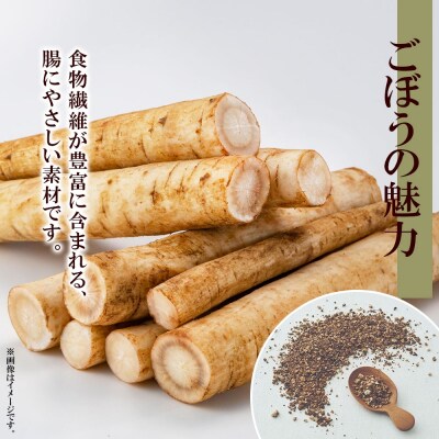 ごぼう茶 ティーバッグ 2.3g × 20包_hs294-003