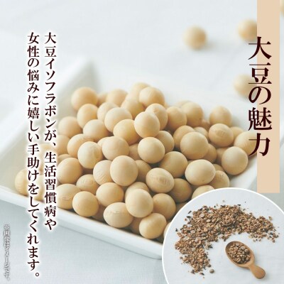 だいず茶 ティーバッグ 5g × 20包_hs294-006