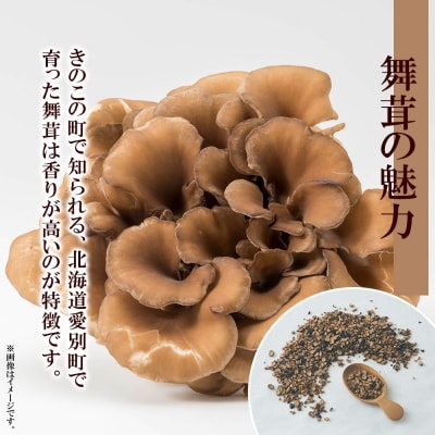 まいたけ茶 ティーバッグ 20包_hs294-008