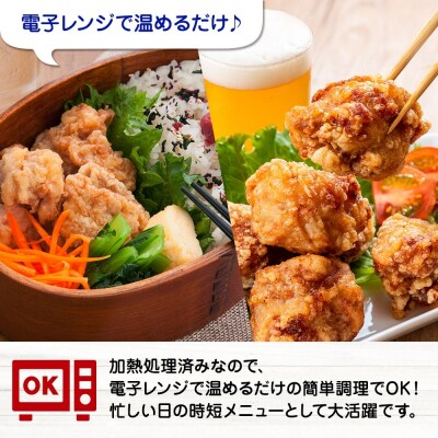 どでかいザンギ 1kg 塩_hs289-045