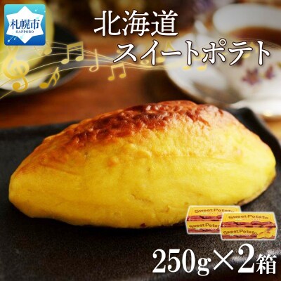 北海道スイートポテト 250g×2箱_hs291-089
