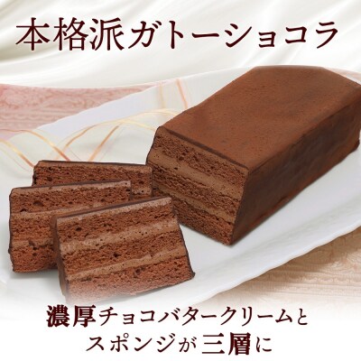 北海道 赤レンガショコラ 2箱 ガトーショコラ_hs291-090