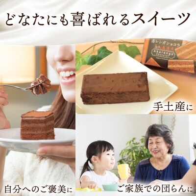 北海道 赤レンガショコラ 2箱 ガトーショコラ_hs291-090