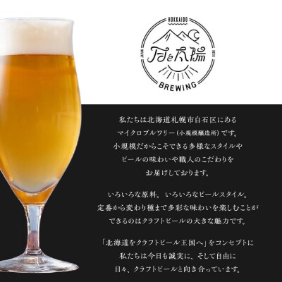 月と太陽BREWINGクラフトビール6缶セット_hs149-001