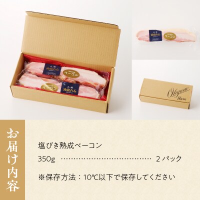 北海道物産展で大人気!塩びき熟成ベーコン_hs028-001