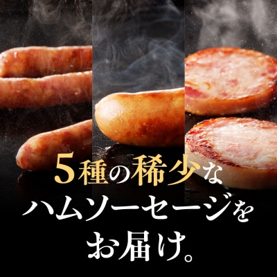 春楡の饗(エルムのもてなし)～北大との共同開発!～_hs028-002