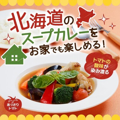 スープカレーの素 うちのスープカレー トマト味 2人前×6袋_hs299-036