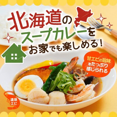 スープカレーの素 うちのスープカレー 濃厚エビ味 2人前×6袋_hs299-037