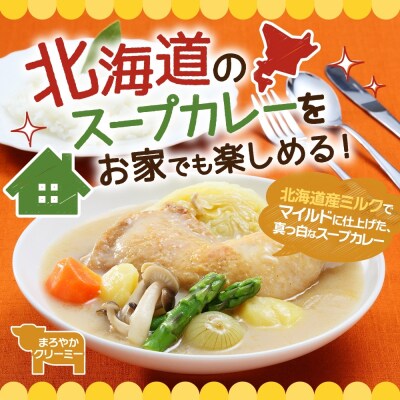 スープカレーの素 うちのスープカレー プレミアムまろやかクリーミー味2人前×6袋_hs299-040