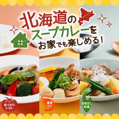 スープカレーの素 うちのスープカレー 3種セット 計6袋_hs299-041