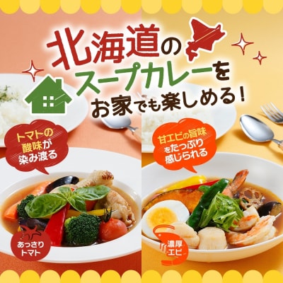 スープカレーの素 うちのスープカレー 2種セットA 計6袋_hs299-042