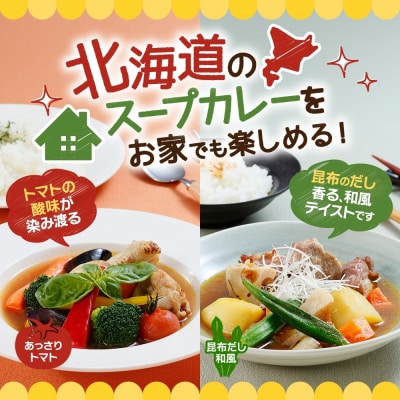 スープカレーの素 うちのスープカレー 2種セットB 計6袋_hs299-043