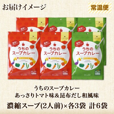 スープカレーの素 うちのスープカレー 2種セットB 計6袋_hs299-043