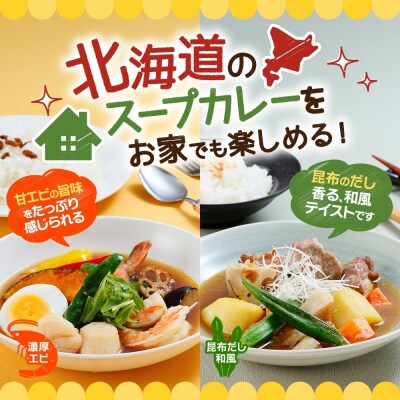 スープカレーの素 うちのスープカレー 2種セットC 計6袋_hs299-044