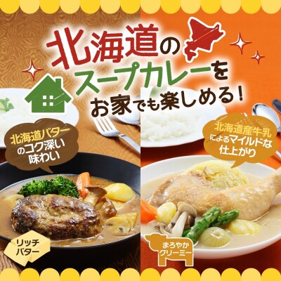 スープカレーの素 うちのスープカレー プレミアム 2種セット 計6袋_hs299-045