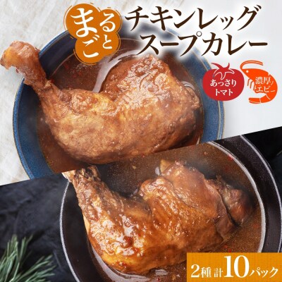 まるごと チキンレッグスープカレー 2種セットA 計10パック_hs299-032