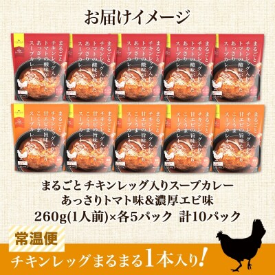 まるごと チキンレッグスープカレー 2種セットA 計10パック_hs299-032