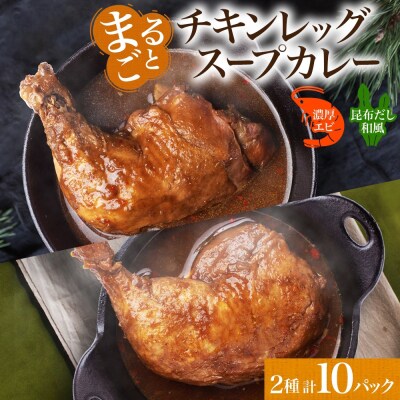 まるごと チキンレッグスープカレー 2種セットC 計10パック_hs299-034