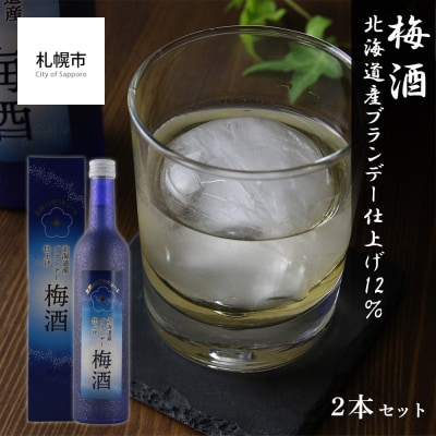 【梅酒】 北海道産ブランデー仕上げ 12% 2本セット_hs017-002