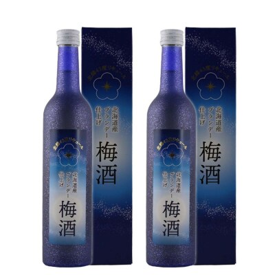 【梅酒】 北海道産ブランデー仕上げ 12% 2本セット_hs017-002