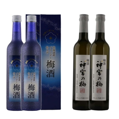 梅酒のみ比べセット 合計4本【神宮の梅】梅酒、【梅酒】北海道産ブランデー仕上げ_hs017-005
