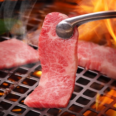 焼肉 霜降り カルビ&モモ 合計400gたれ付き_hs017-293