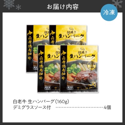 生ハンバーグ デミグラスソース付き 160g×4_hs017-298