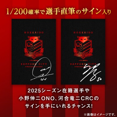 北海道コンサドーレ札幌　ポストカード 【1/200の確率で選手直筆のサイン入り】_hs017-328