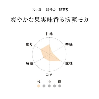 コーヒー豆セット　No.3 浅モカと森の雫セット　各3袋　合計360g_hs017-423