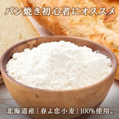 春よ恋ストレート 500g(250g×2)_hs017-485