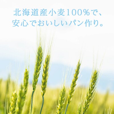 春よ恋ストレート 500g(250g×2)_hs017-485