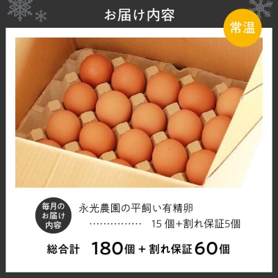 【12か月定期便】永光農園の平飼い有精卵　15個+割れ保証5個_hs259-002