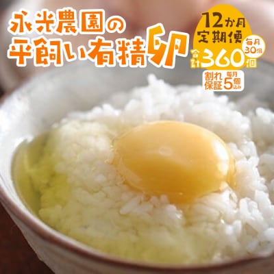 【12か月定期便】永光農園の平飼い有精卵　 25個+割れ保証5個_hs259-003