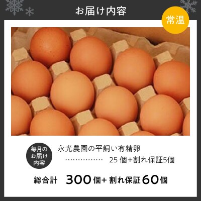 【12か月定期便】永光農園の平飼い有精卵　 25個+割れ保証5個_hs259-003