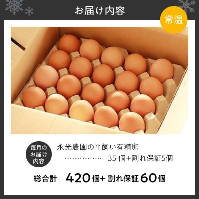 【12か月定期便】永光農園の平飼い有精卵　35個+割れ保証5個_hs259-004