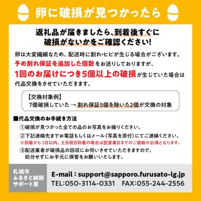 【12か月定期便】永光農園の平飼い有精卵　35個+割れ保証5個_hs259-004
