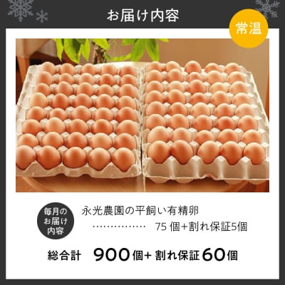 【12か月定期便】永光農園の平飼い有精卵　 75個+割れ保証5個_hs259-005