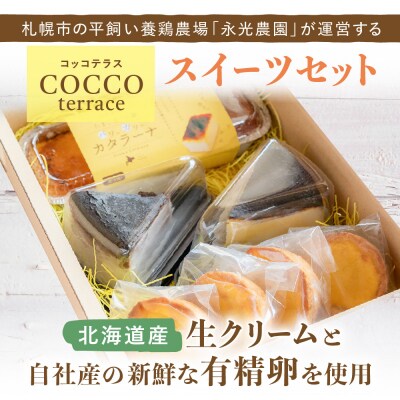 北海道産生クリームと新鮮有精卵を使用!スイーツセット_hs259-011