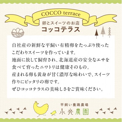 北海道産生クリームと新鮮有精卵を使用!スイーツセット_hs259-011