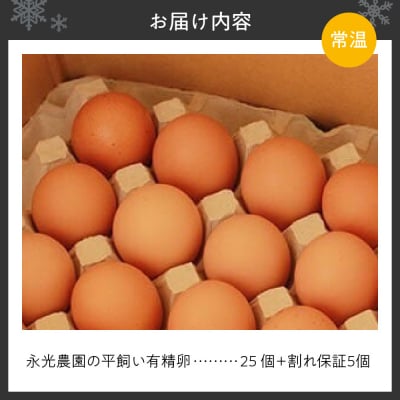 永光農園の平飼い有精卵　25個+割れ保証5個_hs259-048