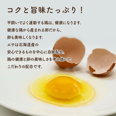 永光農園の平飼い有精卵　35個+割れ保証5個_hs259-049