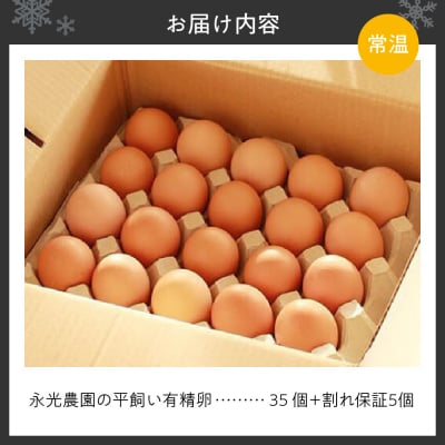 永光農園の平飼い有精卵　35個+割れ保証5個_hs259-049