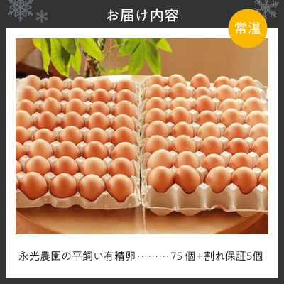永光農園の平飼い有精卵　75個+割れ保証5個_hs259-050