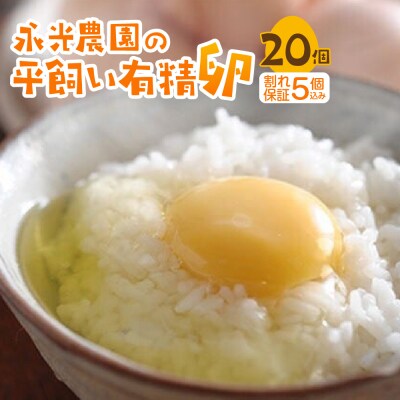 永光農園の平飼い有精卵　15個+割れ保証5個_hs259-051